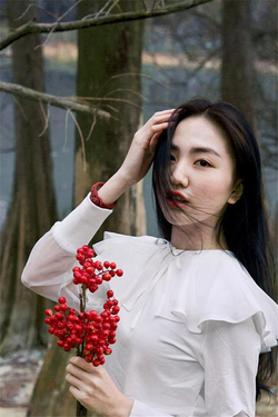 东北老胖肥熟应用主界面展示